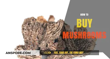 A Beginner's Guide to Safely Buying Quality Mushrooms Online