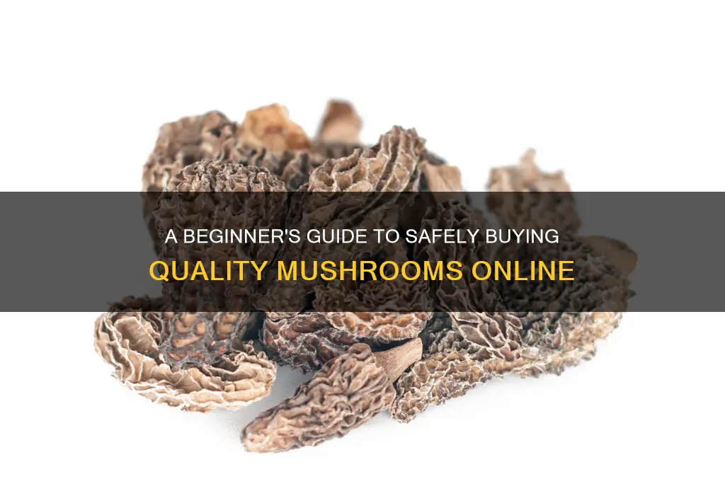 how to buy mushrooms