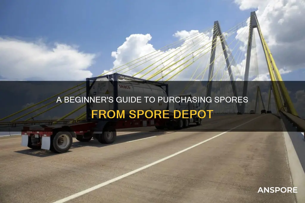 how to buy off of spore depot