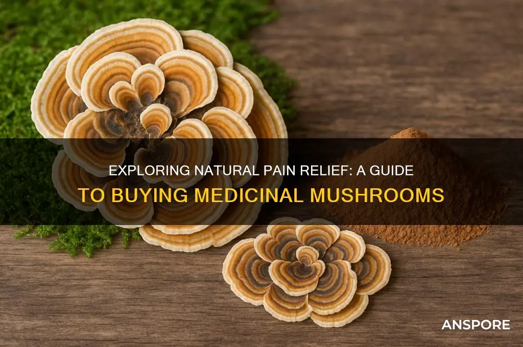 how to buy pain killing associated mushrooms