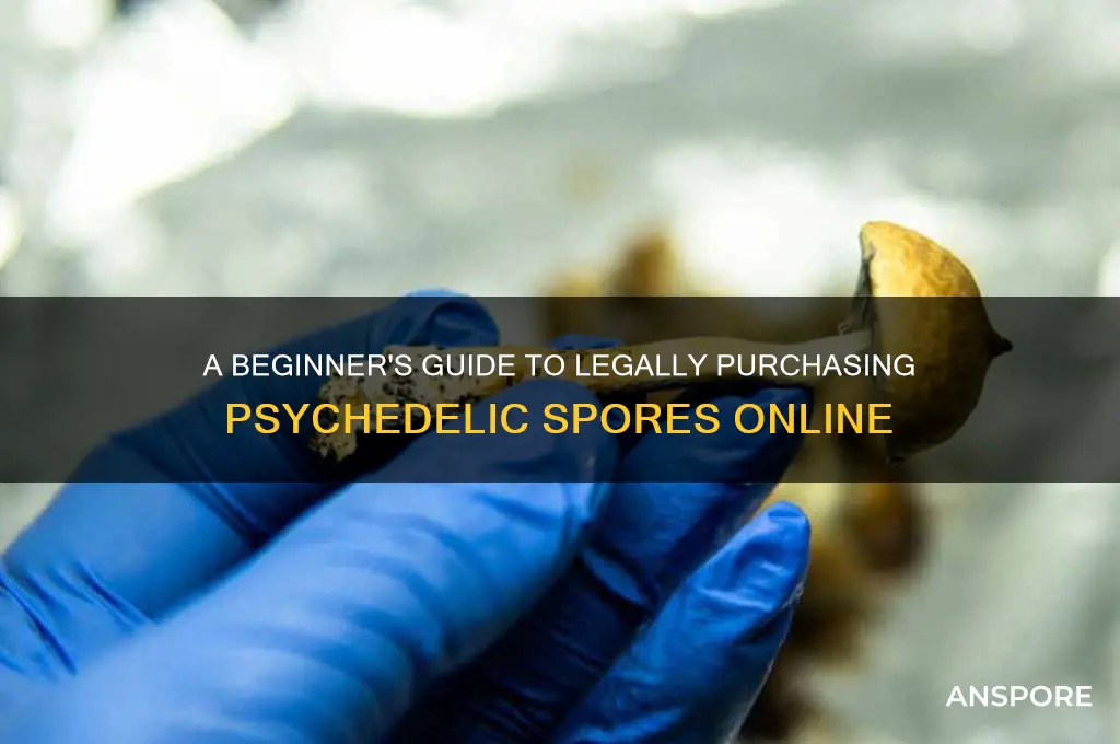 how to buy pscychedelic spores