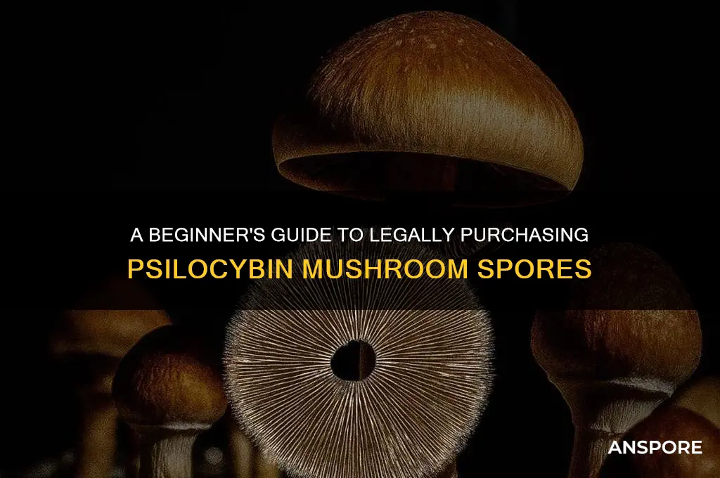 how to buy psilocybin mushroom spores