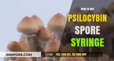 A Beginner's Guide to Purchasing Psilocybin Spore Syringes Safely