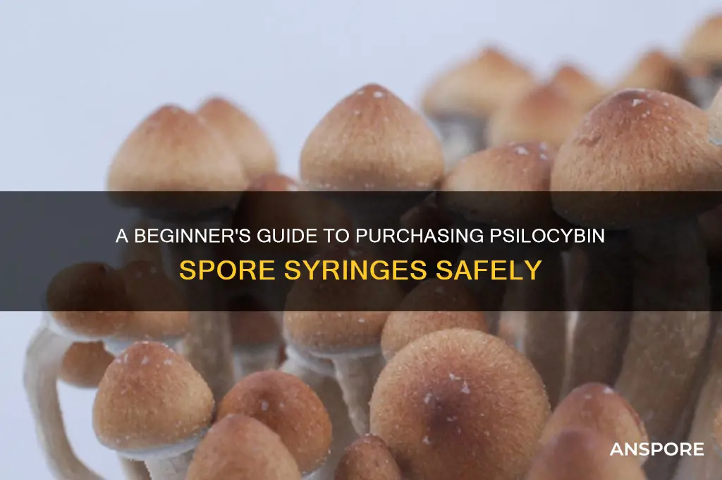 how to buy psilocybin spore syringe