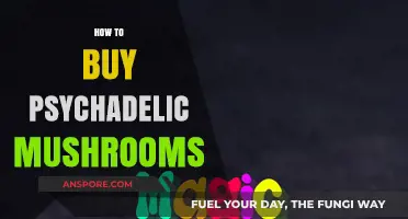 A Beginner's Guide to Safely Purchasing Psychedelic Mushrooms Online