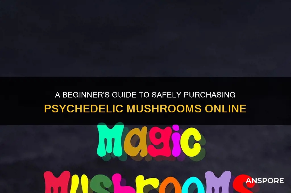 how to buy psychadelic mushrooms