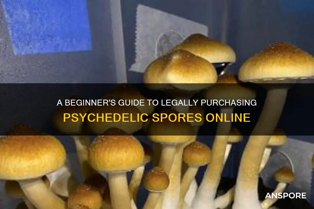 how to buy psychedelic spores