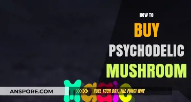 A Beginner's Guide to Safely Purchasing Psychedelic Mushrooms
