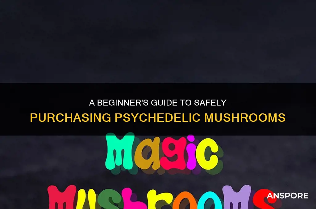 how to buy psychodelic mushrooms