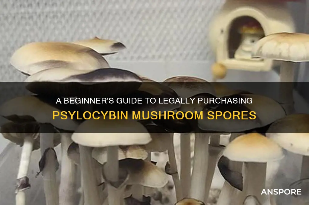 how to buy psylocybin mushroom spores