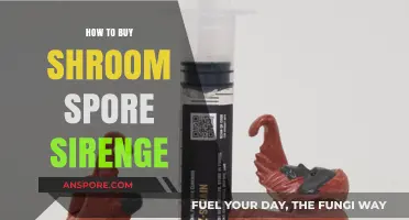 A Beginner's Guide to Purchasing Shroom Spore Syringes Safely
