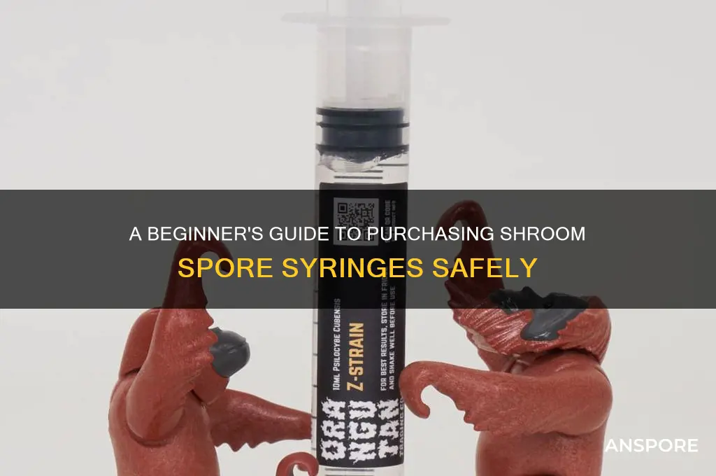 how to buy shroom spore sirenge