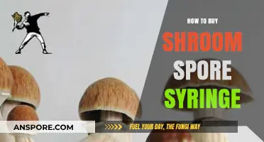 A Beginner's Guide to Safely Purchasing Shroom Spore Syringes