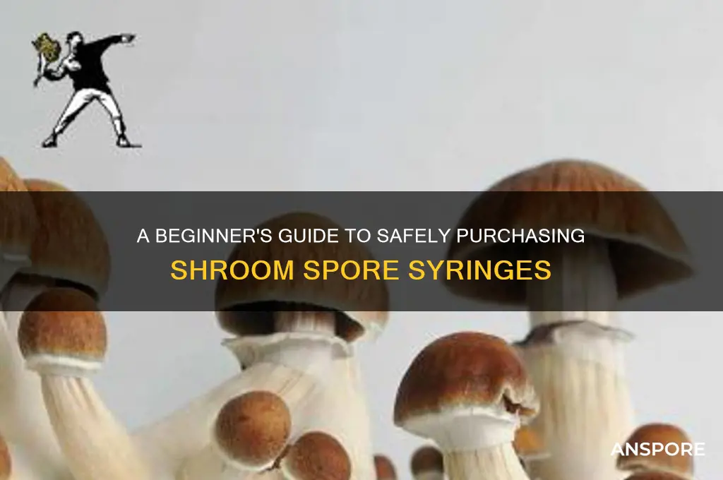 how to buy shroom spore syringe
