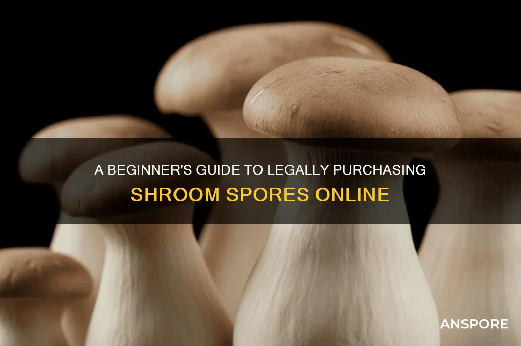 how to buy shroom spores