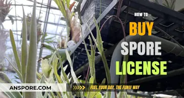 A Comprehensive Guide to Purchasing a Spore License Easily