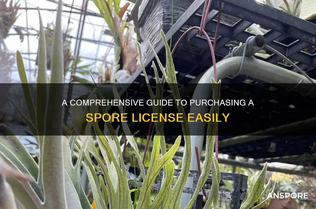 how to buy spore license