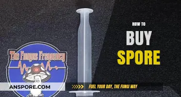 A Beginner's Guide to Safely Purchasing High-Quality Spore Syringes