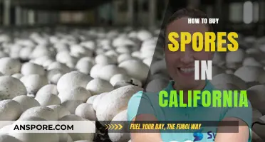 Buying Spores in California: A Comprehensive Guide for Beginners