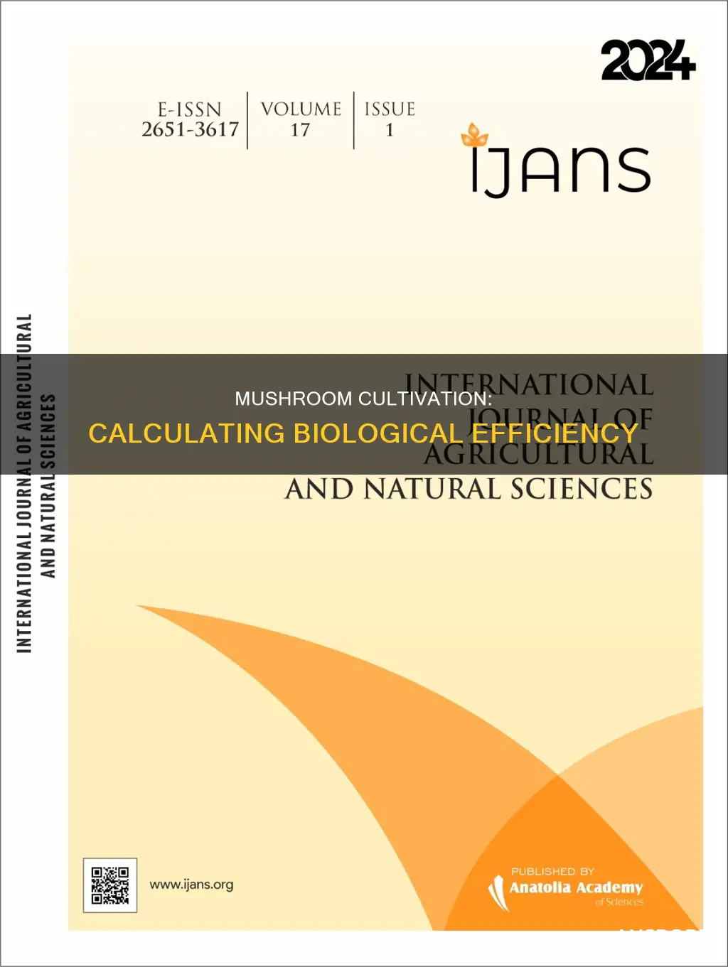 how to calculate biological efficiency in mushroom production
