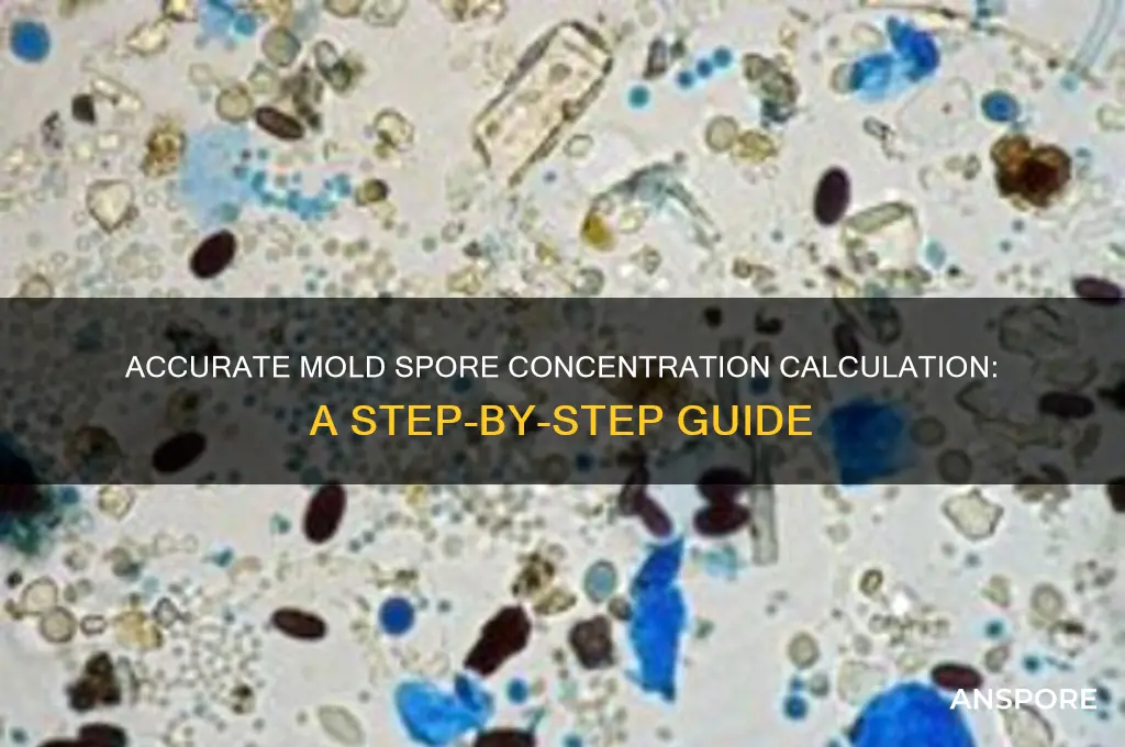 how to calculate concentration of mold spores