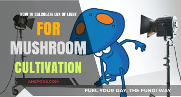 Lux Lighting for Mushroom Cultivation