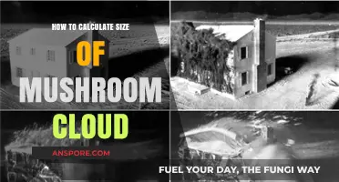 Understanding the Destructive Power: Mushroom Cloud Size Calculation