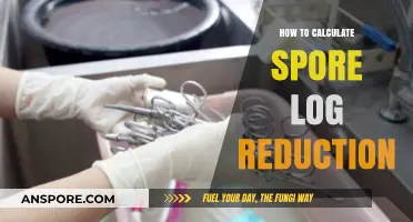 Mastering Spore Log Reduction: Calculation Methods and Practical Tips