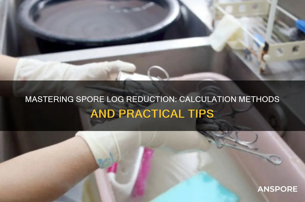 how to calculate spore log reduction