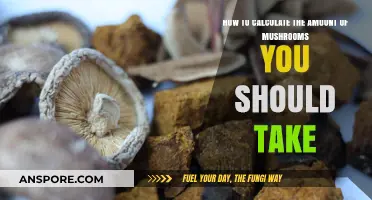 Calculating Your Mushroom Trip: Dosage Guide