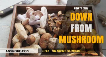 Calm Down from a Psychedelic Mushroom Trip