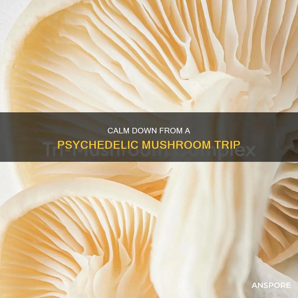 how to calm down from mushrooms