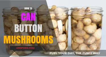 Easy Guide to Canning Button Mushrooms for Long-Lasting Freshness