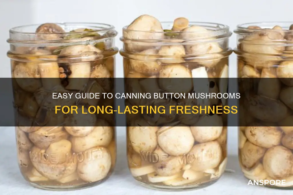 how to can button mushrooms