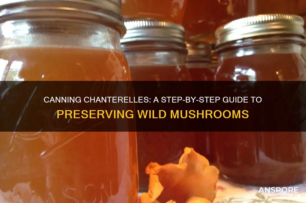 how to can chanterelle mushrooms