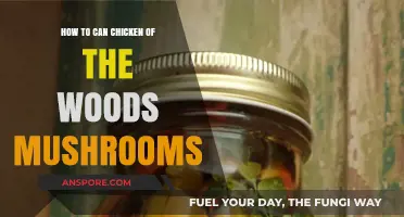 Canning Chicken of the Woods: A Step-by-Step Preservation Guide