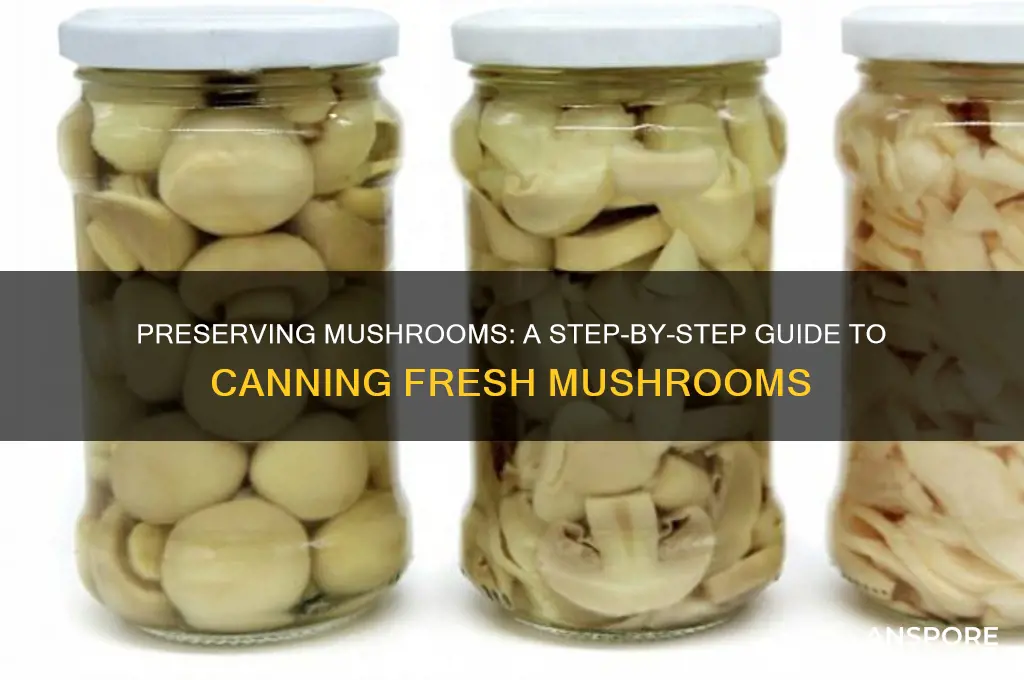 how to can fresh mushrooms