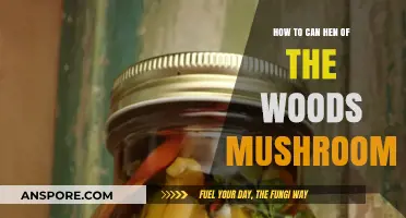 Canning Hen of the Woods Mushrooms: A Step-by-Step Preservation Guide