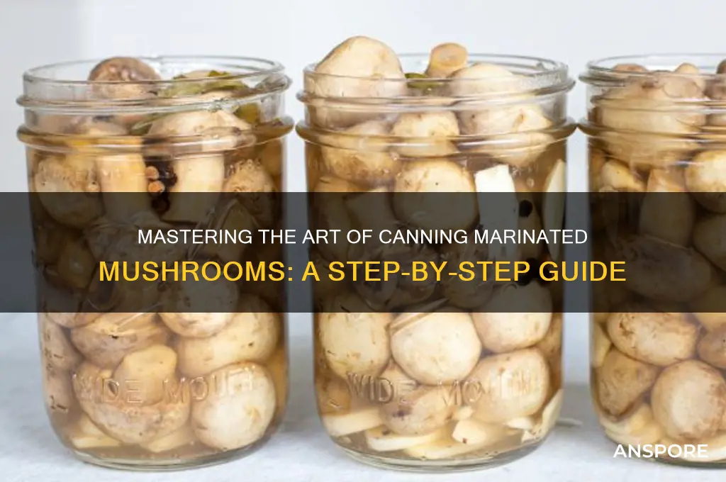 how to can marinated mushrooms