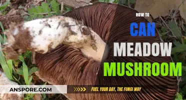 Canning Meadow Mushrooms: A Step-by-Step Guide to Preserving Your Harvest