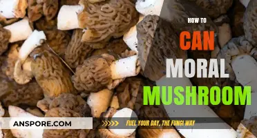 Ethical Mushroom Canning: A Step-by-Step Guide to Preserving Morels
