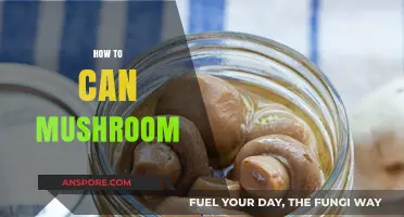 Mastering Mushroom Canning: A Step-by-Step Guide for Fresh Preservation