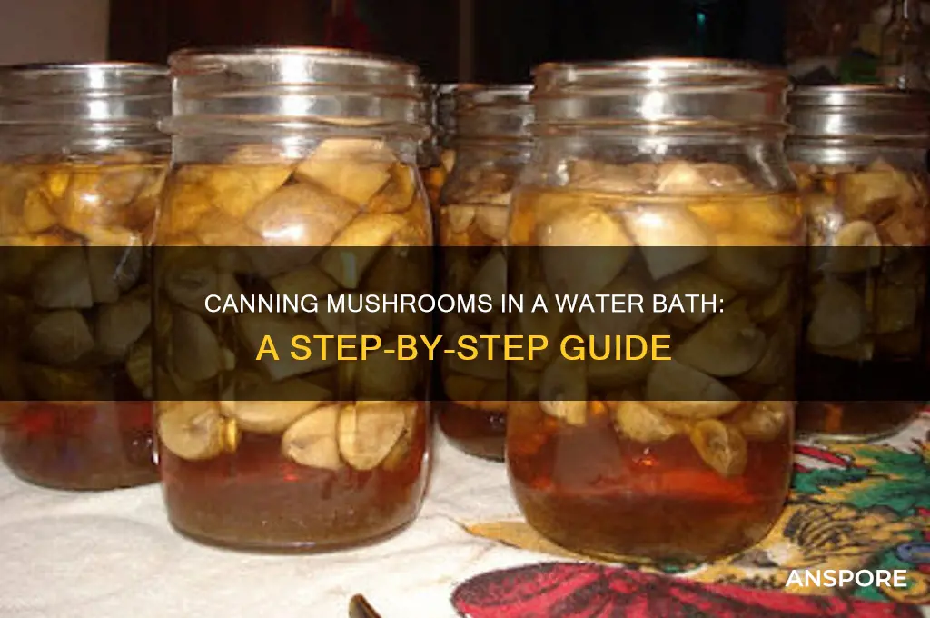 how to can mushrooms in water bath