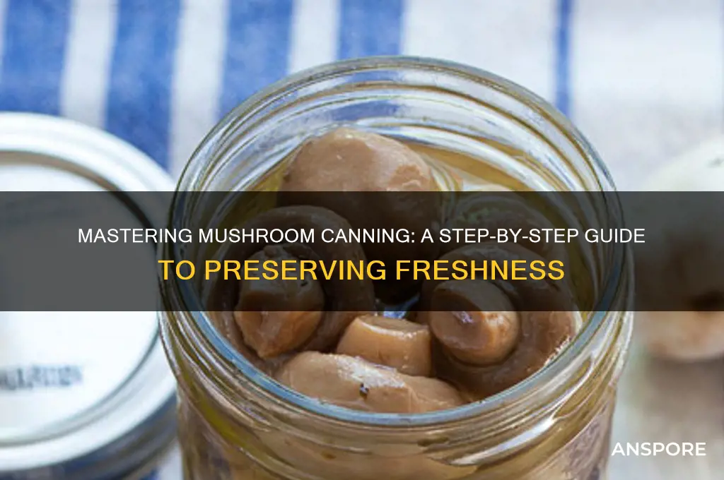 how to can mushrooms