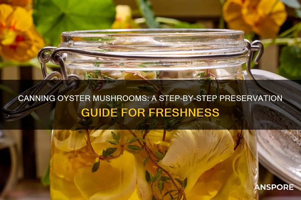 how to can oyster mushrooms