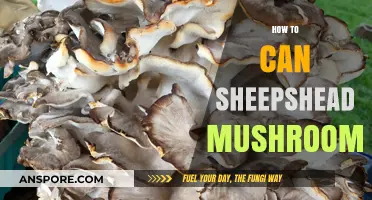 Canning Sheepshead Mushrooms: A Step-by-Step Preservation Guide
