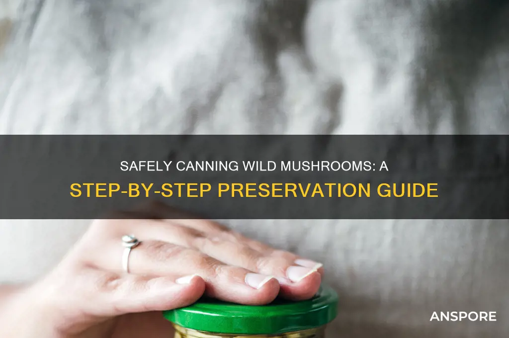 how to can wild mushrooms
