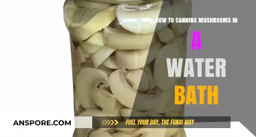 Canning Mushrooms: Water Bath Method