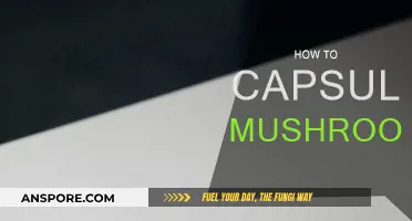 Mushroom Capsules: An Easy Guide to Making Your Own