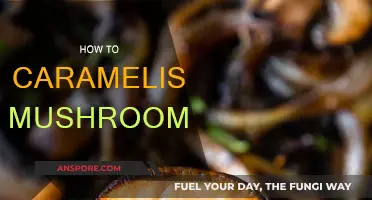 Caramelized Mushrooms: The Secret to a Golden Glaze